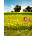thumbnail image 1 of ABPHOTO Polyester Outdoor Green Grass Flower Land Field Blue Sky White Clouds Sky Landscape Scenery 5x7ft Photography Backdrops Picture Backgrounds Studio Props, 1 of 2