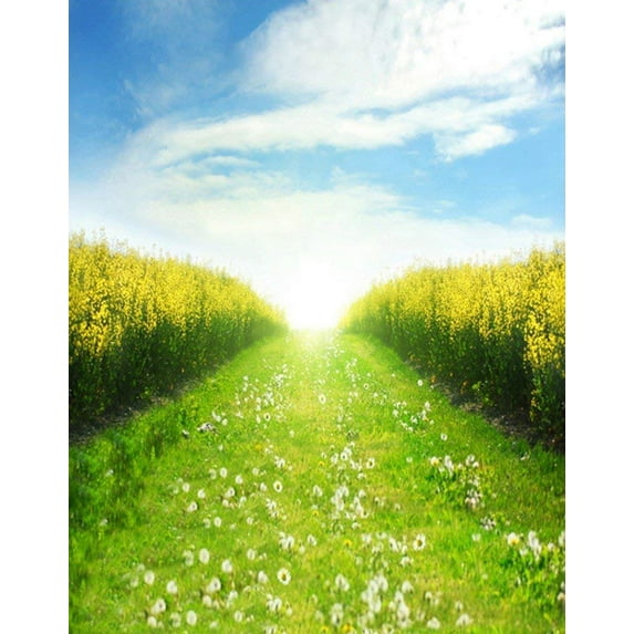 ABPHOTO Polyester Outdoor Green Grass Flower Land Field Blue Sky White Clouds Sky Landscape Scenery 5x7ft Photography Backdrops Picture Backgrounds Studio Props