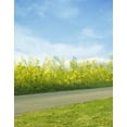 thumbnail image 1 of ABPHOTO Polyester Outdoor Green Grass Flower Land Field Blue Sky White Clouds Sky Landscape Scenery 5x7ft Photography Backdrops Picture Backgrounds Studio Props, 1 of 2