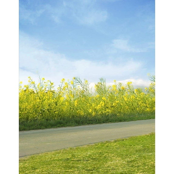 ABPHOTO Polyester Outdoor Green Grass Flower Land Field Blue Sky White Clouds Sky Landscape Scenery 5x7ft Photography Backdrops Picture Backgrounds Studio Props