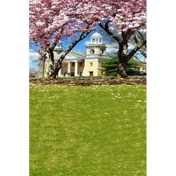 ABPHOTO Polyester Pink Cherry Blossoms Flower Tree Green Grass Land White Building Outdoor Street Studio Props 5x7ft Photography Backdrops