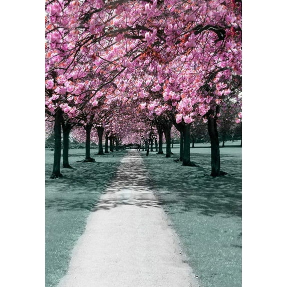 ABPHOTO Polyester Pink Cherry Flower Tress Along The Path Road Scenery 5x7ft Photography Backdrops Wall Mural