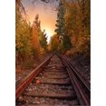 thumbnail image 1 of ABPHOTO Polyester Railway Photo Studio Background Train Track Forest Trees Outdoor Autumn Nature Scenic Photography Backdrops Picture Shooting Wallpaper Prop 5x7ft, 1 of 2