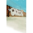 thumbnail image 1 of ABPHOTO Polyester Red Brick Wall Graffiti White Grounds Blue Sky 5x7ft Studio Props Photography Backdrops, 1 of 2
