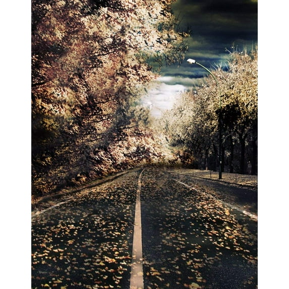 ABPHOTO Polyester Road Tree Photography Backdrops Photo Props Studio Background 5x7ft