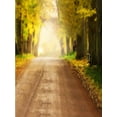 thumbnail image 1 of ABPHOTO Polyester Road Yellow Leaf Tree Photography Backdrops Photo Props Studio Background 5x7ft, 1 of 2