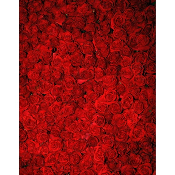 ABPHOTO Polyester Romantic Red Roses Wedding Photo Backgrounds 3D Flower Wall Backdrop Photography Studio Picture Shooting Valentine's Day Backdrops 5x7ft