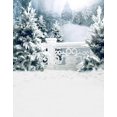 thumbnail image 1 of ABPHOTO Polyester Scenic Winter White Snow Trees with Rimes Hoarfrost Christmas Holiday Mural Party Wall Decorations Photography Backdrops 5x7ft, 1 of 2