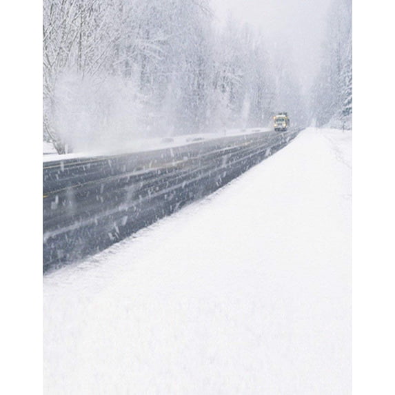 ABPHOTO Polyester Scenic Winter White Snow Trees with Rimes Hoarfrost Christmas Holiday Mural Party Wall Decorations Photography Backdrops 5x7ft