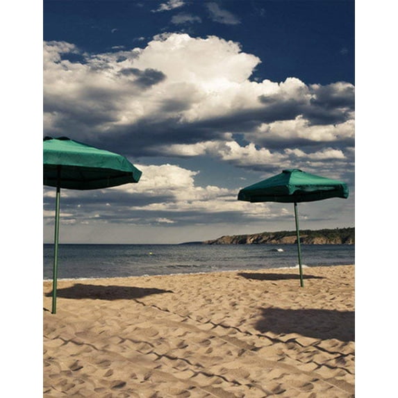 ABPHOTO Polyester Sea Beach Sky Photography Backdrops Photo Props Studio Background 5x7ft