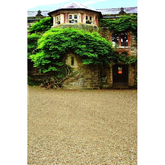 ABPHOTO Polyester Vintage Old Building House Green Trees Front Street View Wedding Scene Studio Photography Backdrops 5x7ft
