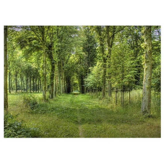 ABPHOTO Polyester Walking on the Grass Road of Woods Backdrops 7x5ft Photography Backgrounds Photo Props for Studio or Stage