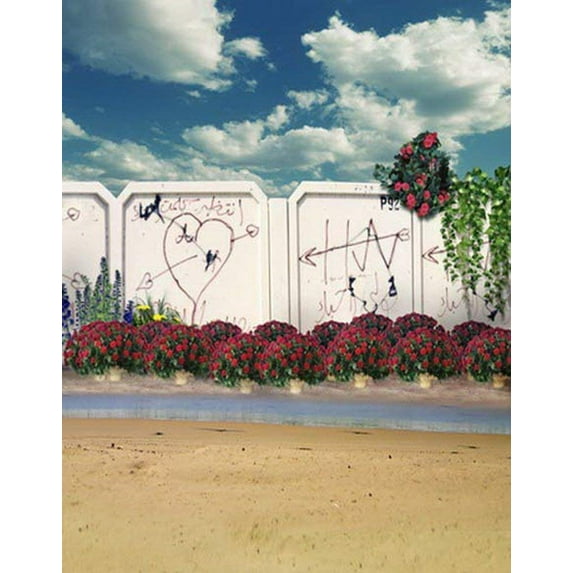 ABPHOTO Polyester Wall Graffiti Heart Love Red Flowers Blue Sky Photography Backdrops Photo Props Studio Background 5x7ft