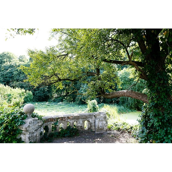 ABPHOTO Polyester Wedding Photo Background Green Vintage Backdrops Garden Backgrounds 7x5ft