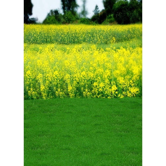 ABPHOTO Polyester Yellow Canola Flower Field Green Grass Trees Outdoor Scene Landscape 5x7ft Photography Backdrops