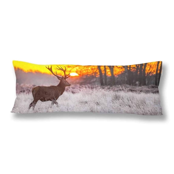 ABPHOTO Red Deer in Fall Autumn Forest Body Pillow Covers Pillowcase 20x60 inch Sunset Scenery Body Pillow Case Protector