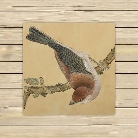 ABPHQTO A Small Bird On A Branch Draw A Small Bird Towels Beach Bath Pool Sprot Travel Hand Spa Towel 13x13 Inch