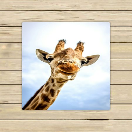 ABPHQTO A Smiling Giraffe Is Looking At The Camera Towels,Beach Bath Pool Sprot Travel Hand Spa Towel 13x13 Inch