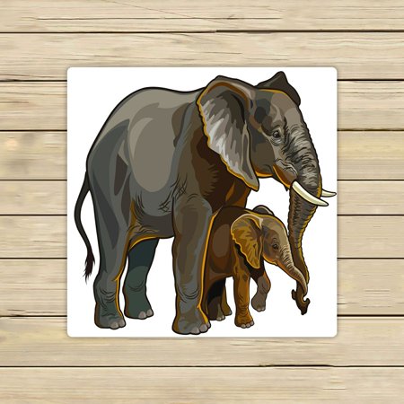 ABPHQTO African Elephant Mother With Baby Side View Towels Beach Bath Pool Sprot Travel Hand Spa Towel 13x13 Inch