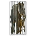 thumbnail image 1 of ABPHQTO African Elephant Mother With Baby Side View Waterproof Polyester Shower Curtain and Hooks For Home Decor 36x72 Inch, 1 of 1