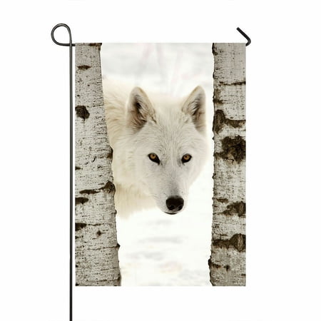 ABPHQTO Arctic Wolf Seen Between Two Trees In Winter Home Outdoor Garden Flag House Banner Size 28x40 Inch