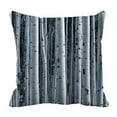 thumbnail image 1 of ABPHQTO Aspen Forest Pillow Case Pillow Cover Pillow Protector Two Sides For Couch Bed 20x20 Inch, 1 of 1