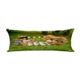 thumbnail image 1 of ABPHQTO Autumn Pumkin Grass Body Pillow Covers Pillow Case Protector Pillowcase 20x60 Inch, 1 of 1