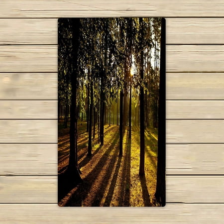 ABPHQTO Beams Of Light Shine Through The Trees In Summer Forest Towels Beach Bath Pool Sprot Travel Hand Spa Towel 16x28 Inch