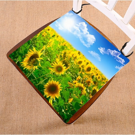 ABPHQTO Beautiful Landscape Sunflower Field Cloudy Blue Sky Chair Pad Seat Cushion Chair Cushion Floor Cushion Two Sides Printing 18x18 Inch