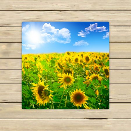 ABPHQTO Beautiful Landscape Sunflower Field Cloudy Blue Sky Towels Beach Bath Pool Sprot Travel Hand Spa Towel 13x13 Inch