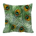 thumbnail image 1 of ABPHQTO Beautiful Peacock Feathers Pillow Case Pillow Cover Pillow Protector Two Sides For Couch Bed 18x18 Inch, 1 of 1