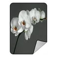 thumbnail image 1 of ABPHQTO Beautiful White Orchid Fleece Blanket Fleece Back Throw Blanket 58x80 Inch, 1 of 1
