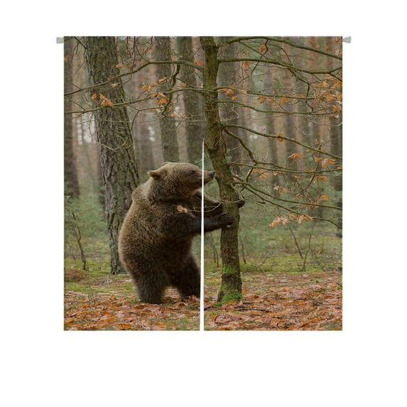 ABPHQTO Brown Bear Winter Forest Tree Food Europe Czech Japanese Noren Curtain Doorway Door Window Treatment Curtains Cotton Linen Curtain 85x150 cm