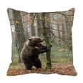 thumbnail image 1 of ABPHQTO Brown Bear Winter Forest Tree Food Europe Czech Pillow Case Pillow Cover Pillow Protector Two Sides For Couch Bed 16x16 Inch, 1 of 1