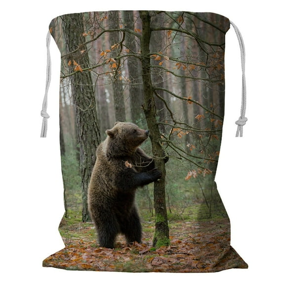 ABPHQTO Brown Bear Winter Forest Tree Food Europe Czech Storage Basket Laundry Bag with Drawstring 18x24 Inch