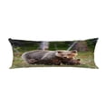 thumbnail image 1 of ABPHQTO Brown Mother Bear Cubs Finnish Forest Body Pillow Covers Pillow Case Protector Pillowcase 20x60 Inch, 1 of 1
