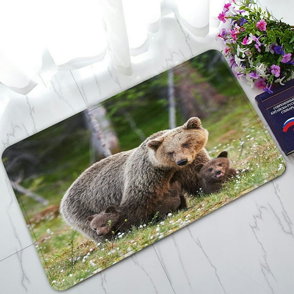 ABPHQTO Brown Mother Bear Cubs Finnish Forest Doormat Entrance Rug Area Rug Floor Mat Home Decor 23.5x16.7 Inch