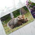 thumbnail image 1 of ABPHQTO Brown Mother Bear Cubs Finnish Forest Doormat Entrance Rug Area Rug Floor Mat Home Decor 30x18 Inch, 1 of 1