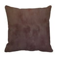 thumbnail image 1 of ABPHQTO Brushed Painted Pillow Case Pillow Cover Pillow Protector Two Sides For Couch Bed 20x20 Inch, 1 of 1