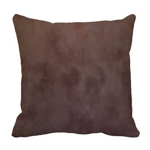 ABPHQTO Brushed Painted Pillow Case Pillow Cover Pillow Protector Two Sides For Couch Bed 20x20 Inch