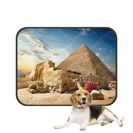 ABPHQTO Camel Rests Near Ruins Entrance To Pyramid Pet Dog Cat Bed Pee Pads Mat Cushion Potty Dogs Blankets Crate Bed Kennel 28x36 inch