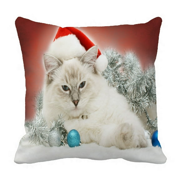 ABPHQTO Christmas Ragdoll Cat Kitten Pillow Case Pillow Cover Pillow Protector Two Sides For Couch Bed 18x18 Inch