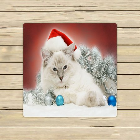 ABPHQTO Christmas Ragdoll Cat Kitten Towels Beach Bath Pool Sprot Travel Hand Spa Towel 13x13 Inch