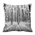 thumbnail image 1 of ABPHQTO Christmas Snow On The Wood Textured Forest Winter Pillow Case Pillow Cover Pillow Protector Two Sides For Couch Bed 16x16 Inch, 1 of 1