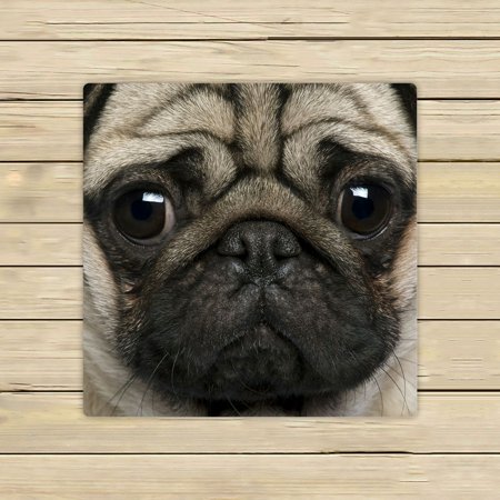 ABPHQTO Close Up Pug 2 Years Old Towels,Beach Bath Pool Sprot Travel Hand Spa Towel 13x13 Inch