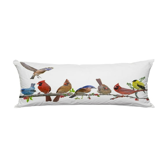 ABPHQTO Colorful Songbird Celebration Body Pillow Covers Pillow Case Protector Pillowcase 20x60 Inch