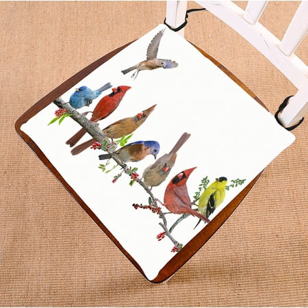 ABPHQTO Colorful Songbird Celebration Chair Pad Seat Cushion Chair Cushion Floor Cushion Two Sides Printing 16x16 Inch