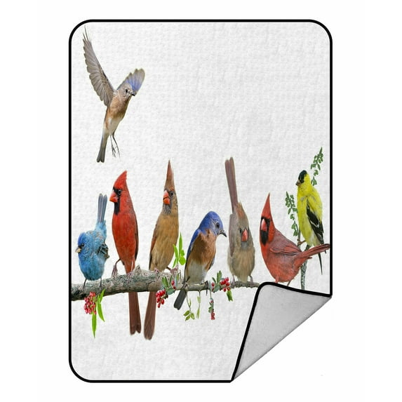ABPHQTO Colorful Songbird Celebration Fleece Blanket Fleece Back Throw Blanket 58x80 Inch