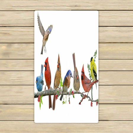 ABPHQTO Colorful Songbird Celebration Towels Beach Bath Pool Sprot Travel Hand Spa Towel 16x28 Inch
