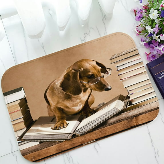 ABPHQTO Dachshund Professor Doormat Entrance Rug Area Rug Floor Mat Home Decor 23.5x16.7 Inch
